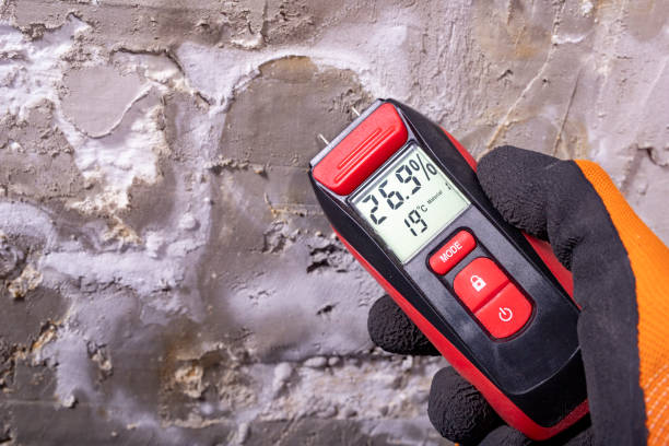 Best Preventive Mold Services in Brookshire, TX