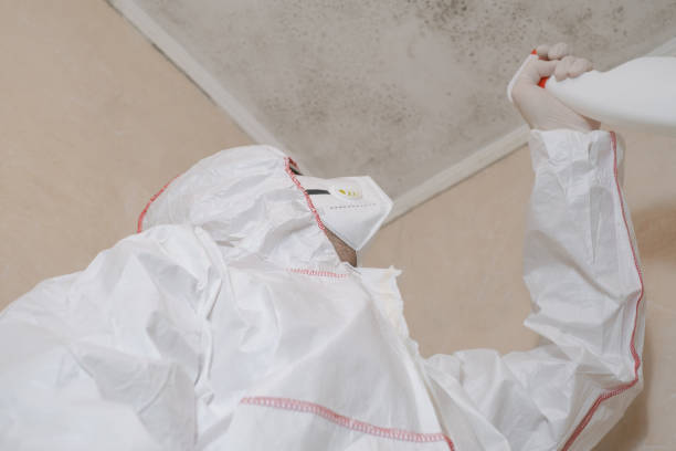 Best Residential Mold Remediation in Brookshire, TX